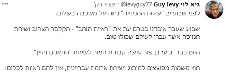 גיא לוי