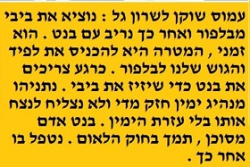 עמוס שוקן לשרון גל