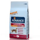 e & Lamb Adult Advance כלב בוגר כבש ואורז שק במשקל 12 ק"ג