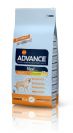 e & chicken Adult Maxi Advance כלב בוגר גזע גדול עד שנתיים עוף ואורז שק במשקל 14 ק"ג