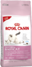 3182550707329 מזון יבש לחתולים גורים 4 ק"ג Royal Canin