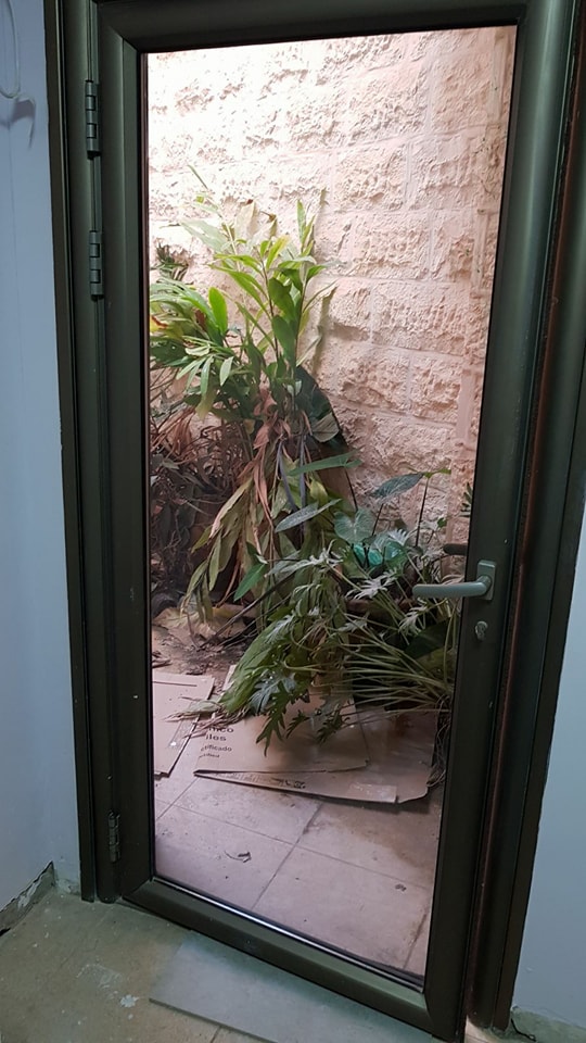 אחרי קיצור הדלת
