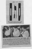 עיתון תל אביב ידיעות 1993