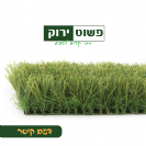 דשא קיסר טופ- פשוט ירוק