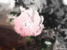 פרח הורד - הדפס על קנבס