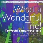 Tsuyoshi Yamamoto - What a wonderful trio