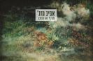 אביב גדג' / שרף אורנים
