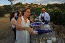 יקבי כרמל: חגיגת יין וארוחת ערב מפוארת לקראת ראש השנה