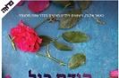 קודם כול אהבה / אמילי גיפין