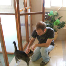 קישור לפנסיון, עובד מלטף חתול בזמן שהותו אצלנו 