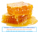 Pure Honey 500 Gram