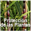 GBM - Proteccion de las plantas