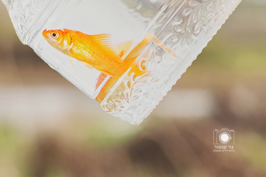 צלמת מקצועית