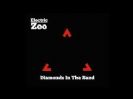 Electric Zoo Diamonds In The Sand Vinyl LP
