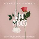 Avishai Cohen Two Roses