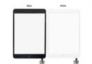 iPad Mini 2 - Front Glass & Touch Screen Digitizer & IC & Home Button