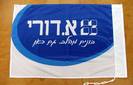 דגלי לוגו
