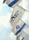 מכירת דגלים