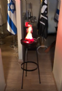 אבוקת זיכרון חשמלית