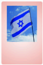 דגלים תוצרת ישראל /תוצרת  חוץ דגלים של ישראל במידות שונות