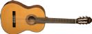 Washburn גיטרה קלאסית C40