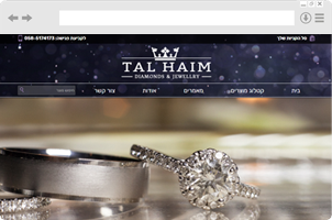 טל חיים בניית חנות וירטואלית