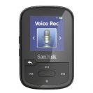12001. mp3 sandisk