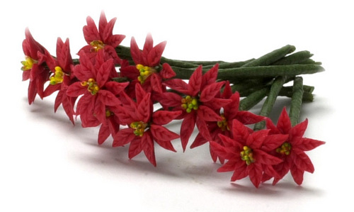 פרח החלבלוב מיניאטורי - אדום