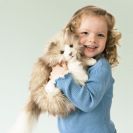 בובת חתול פרסי- פלומתי 2566  cut puppet