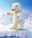 דב ארקטי- דב לבן 2585 Polar Bear