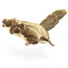 סנאי דואה Flying Squirrel 2580  FOLKMANIS