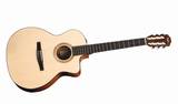 Taylor Classic NS24ce