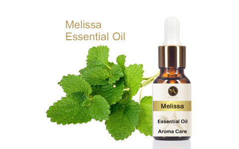 Melissa Essential Oil