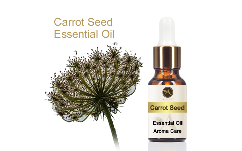 Carrot Seeds Essential Oil