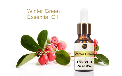 Winter Green Essential Oil