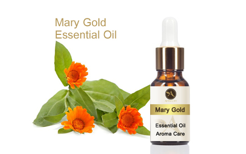 Mary Gold Essential Oil