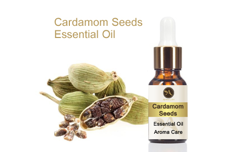 Cardamom Seeds Essential Oil