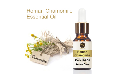 Roman Camomile Essential Oil