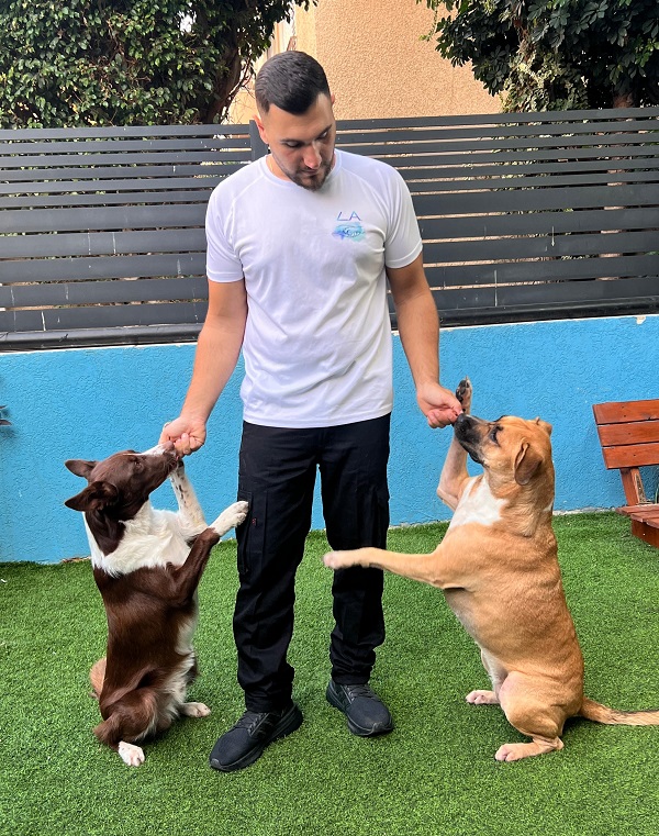 ליעד אגבבה - כלבנות טיפולית בת ים