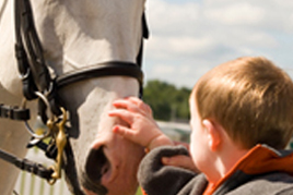 טיפול באמצעות סוסים בפרעות קשב וריכוז ילד מלטף סוס
