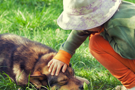טיפול בפחד מכלבים ילדה מלטפת כלב ישן