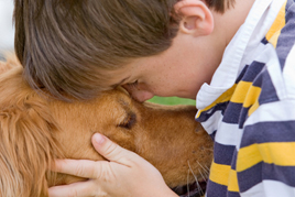 טיפול עם בע"ח לילדים בשיקום מכוויות ילד וכלב
