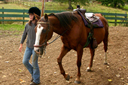 טיפול באמצעות רכיבה על סוס ילדה מובילה סוס