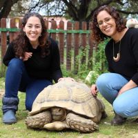 אפרת רחמים רחל עמר - טיפול בעזרת בעלי חיים