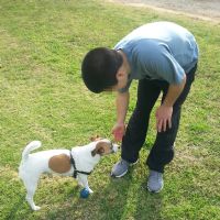ילד עם כלב טיפול בעזרת בעלי חיים