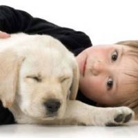 לימודים טיפול בעזרת בעלי חיים - ילד עם כלב
