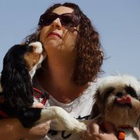 טל אפריאט - כלבנות טיפולית