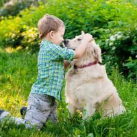 לימודי כלבנות טיפלית - ילד עם כלב