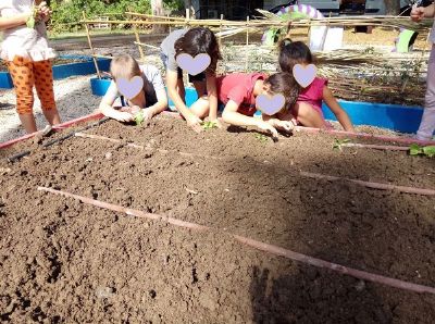 אריה בגן אריק רוזנברג טיפול בעזרת בעלי חיים טבריה