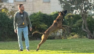עומר להב - כלבנות טיפולית בירושלים